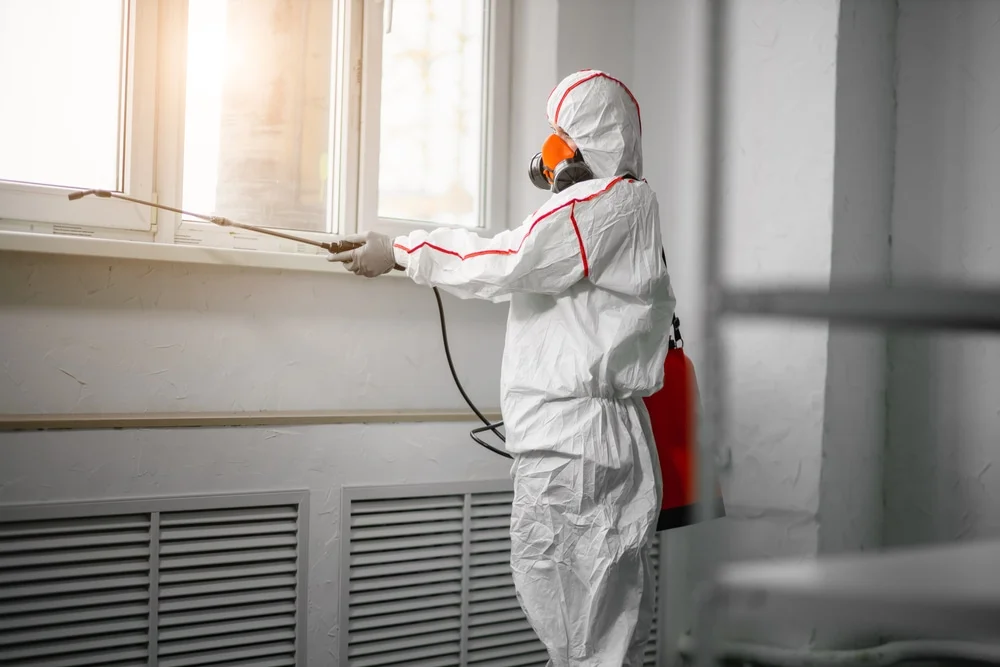 Professional mold remediation services in Yantic, CT